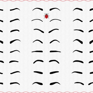 May include: A pattern of black eyebrow shapes in various styles, arranged on a wavy, light gray background. A small red ladybug with black spots is centered near the top. The design is framed by a red border.