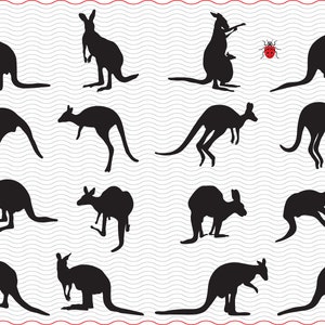 SVG Kängurus, schwarze Silhouette digitale Clipart, Dateien eps jpg, Känguru, isolierter Vektor, Sofort-Download svg, png, dxf für Cricut