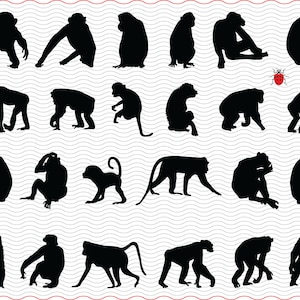 SVG Monkeys, Black isolated silhouettes, Digital clipart, eps, jpg, Monkeys pose, vector, Instant download svg, png, dxf for Cricut