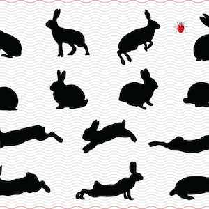 Conigli SVG, lepri, clipart digitali silhouette nere, file di conigli eps jpg, vettore isolato, download istantaneo in formato svg, png, dxf per Cricut