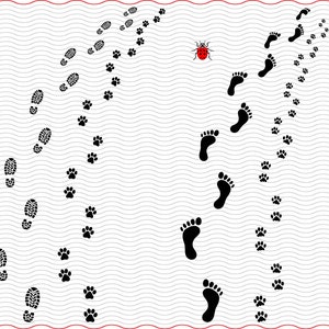 SVG voeten en hondenpoten, zwarte prints silhouetten digitale clipart, bestanden eps jpg, geïsoleerde vector, Instant download svg, png, dxf voor Cricut