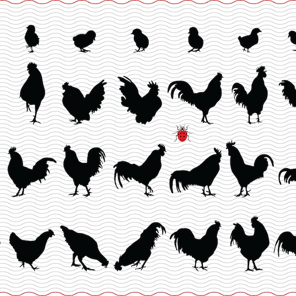 SVG  Roosters, Hens, Chickens, Black silhouette digital clipart, Files eps jpg, isolated vector, Instant download svg, png, dxf for Cricut