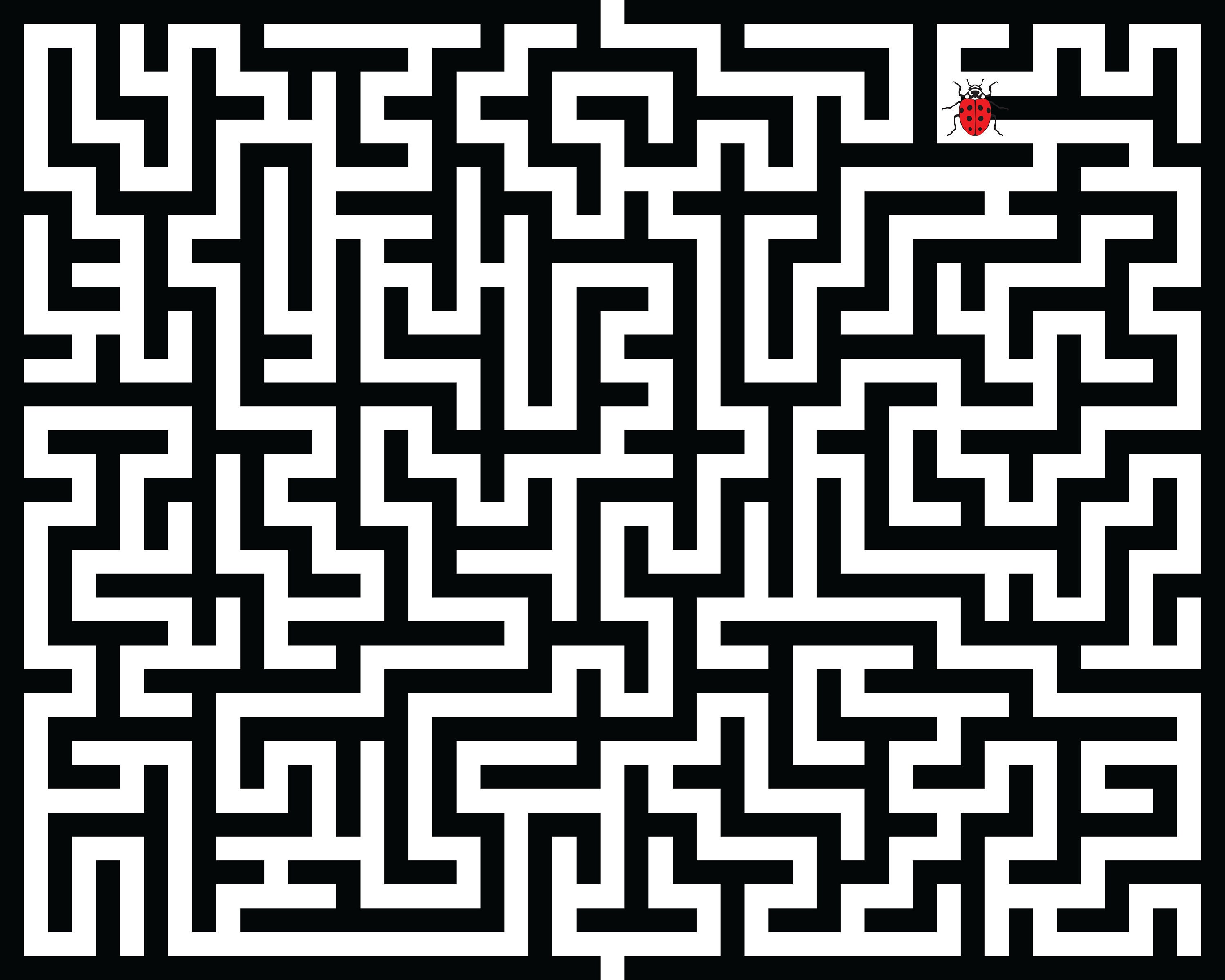 SVG Maze, Labyrinth, Black Silhouette, Digital Clipart, Files Eps