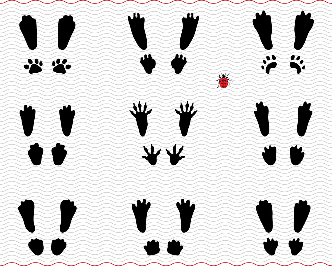 SVG Rabbits, Black Footprints Digital Clipart, Rabbits Icons Files Eps