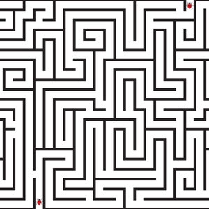 Può includere: Un labirinto in bianco e nero con un complesso design del percorso. Due coccinelle rosse sono posizionate nel labirinto, una in alto e una in basso. Il labirinto è un puzzle.