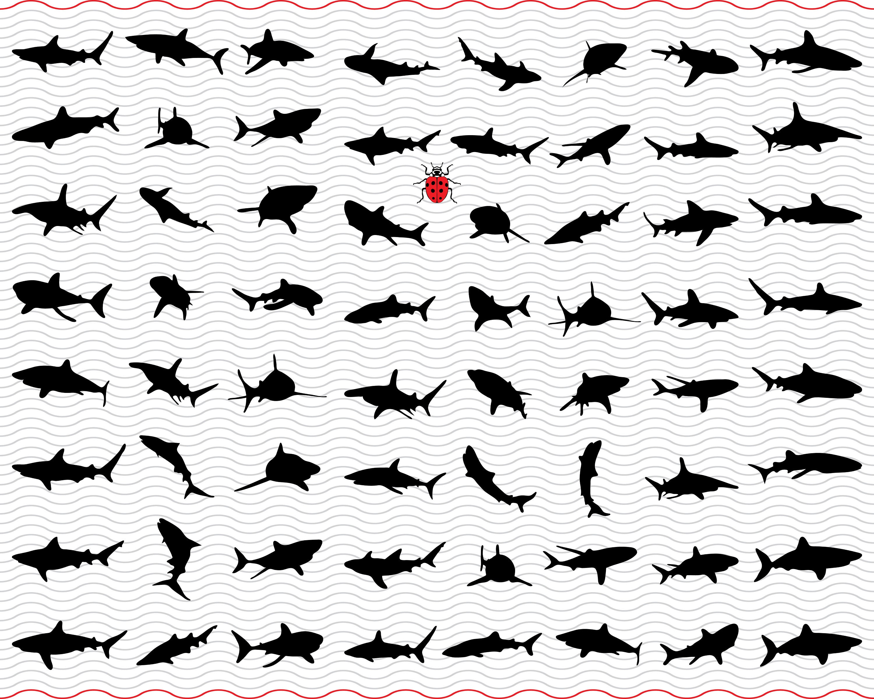 Sharks  SVG, Black silhouette digital clipart, Files eps jpg, Sharks  isolated vector, Instant download  svg, png, dxf  for Cricut
