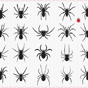 SVG Spiders, Black Silhouettes, digital clipart, Files eps, jpg, Spiders icons design vector, Instant download svg, png, dxf for Cricut