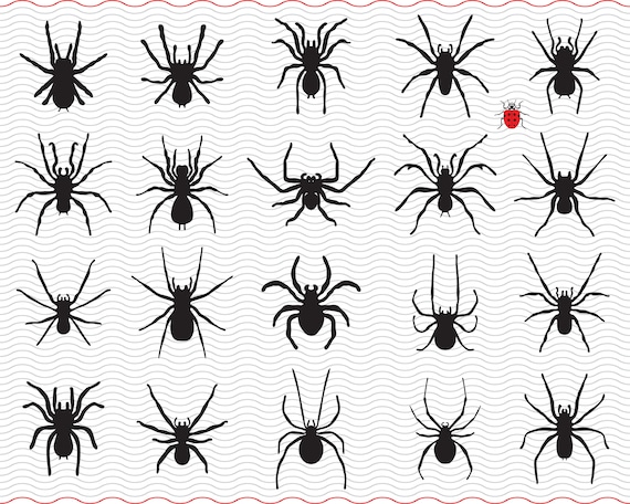 洋書 SPYDERS & SILHOUETTES SVG Spiders, Black Silhouettes, Digital Clipart, Files Eps, Jpg