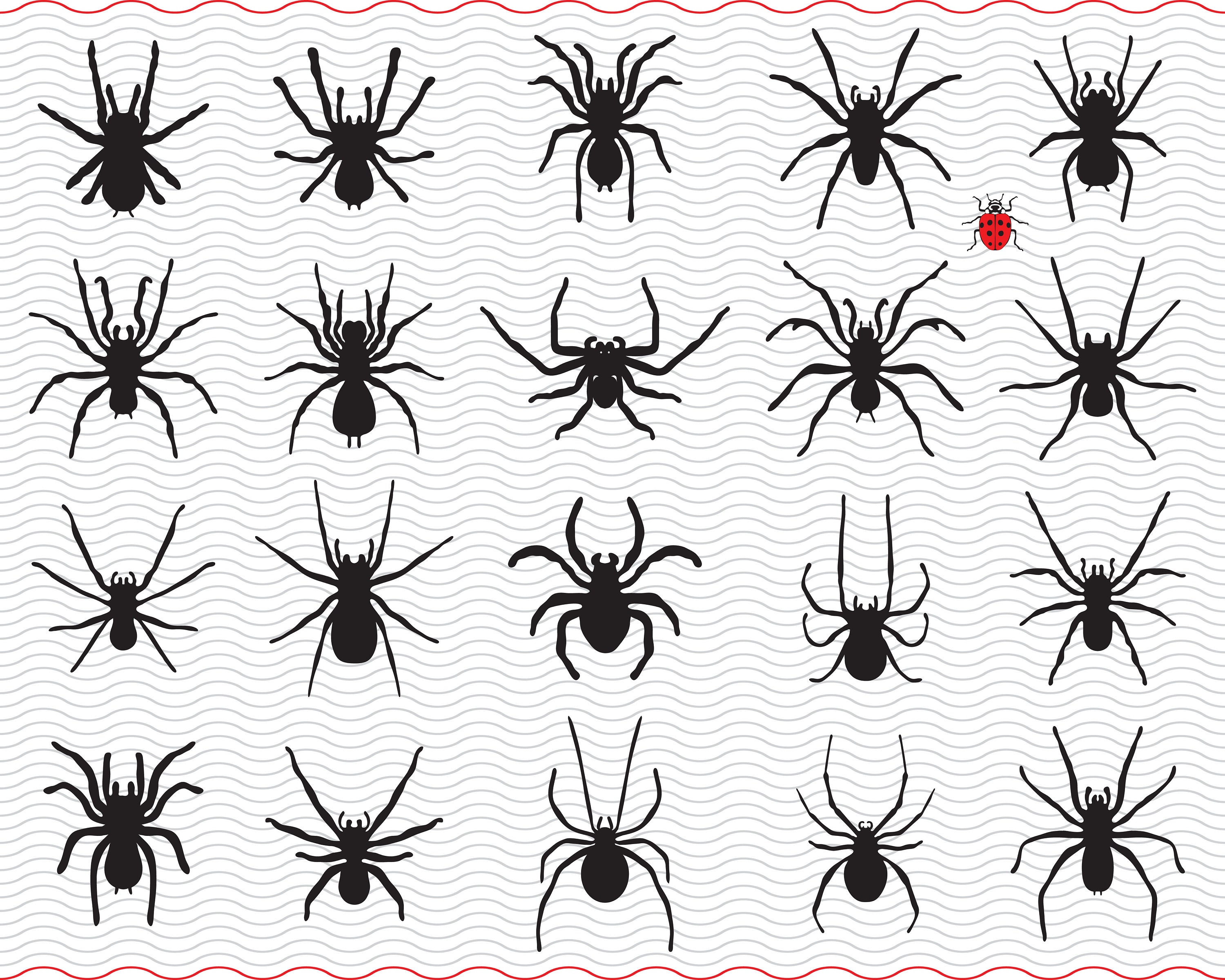 SVG Spiders, Black Silhouettes, Digital Clipart, Files Eps, Jpg