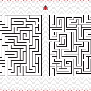 May include: Two black and white mazes on a white background with a red border and a ladybug illustration. The mazes are square and feature intricate pathways. A wavy gray line and a red line are at the top and bottom of the page.