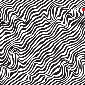 May include: Abstract black and white wavy pattern with a red ladybug. The design features flowing, curved lines that create a sense of movement and depth. The ladybug adds a pop of color and a touch of nature to the graphic.