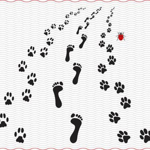 SVG menselijke voeten en hondenpoten, zwarte silhouetten digitale clipart, bestanden eps jpg, geïsoleerde vector, Instant download svg, png, dxf voor Cricut