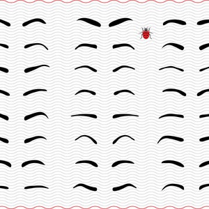 Puede incluir: Un patrón de líneas negras curvas, que se asemejan a cejas, dispuestas sobre un fondo blanco con un patrón ondulado. Hay una pequeña mariquita roja. El diseño está enmarcado por un borde rojo, creando una estética minimalista y artística.