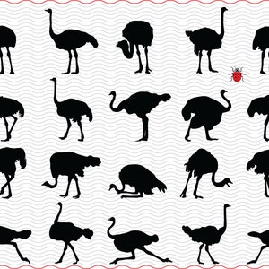 SVG Ostriches, Black silhouettes, digital clipart, Files eps, jpg, Ostriches icons design vector, Instant download svg, png, dxf for Cricut