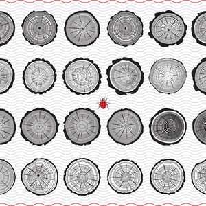 May include: A collection of black and white tree rings, each with unique growth patterns, arranged in rows. A small red ladybug with black spots is included in the design. The background has a wavy pattern.