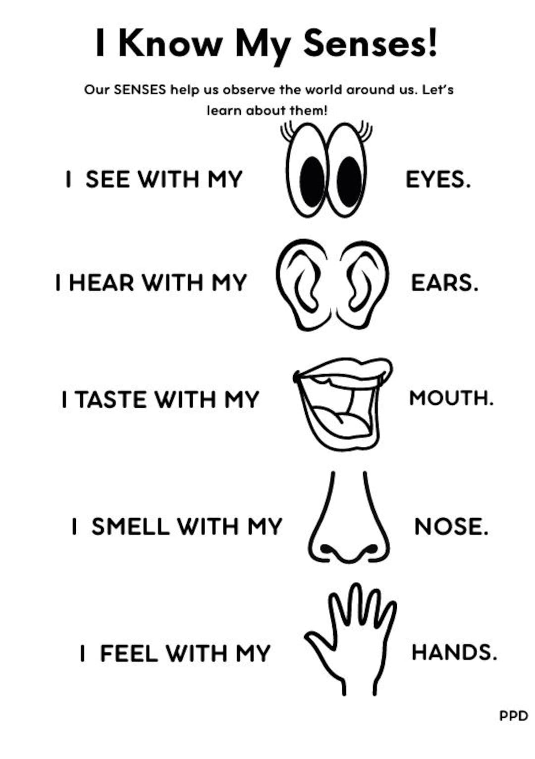 Explore the 5 Senses Printable and Laminateable Science Worksheets