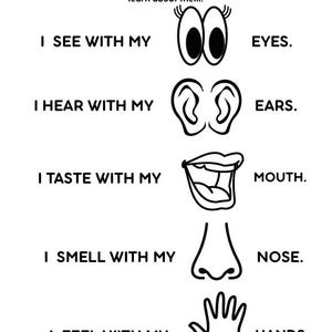 Explore the 5 Senses Printable and Laminateable Science Worksheets for Preschool Kindergarten and Early Learning
