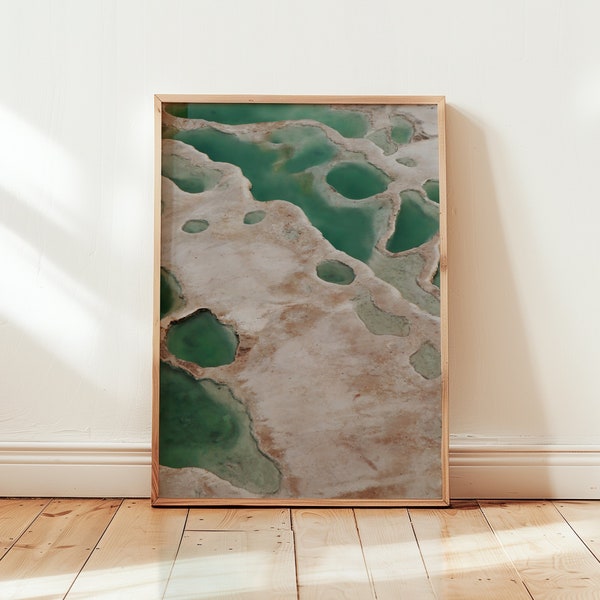 Photo wall print | Earth and water natural texture | Green botanical fine art print