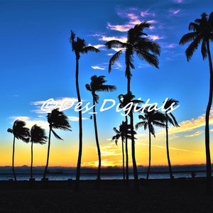 Blue & Gold Sunrise