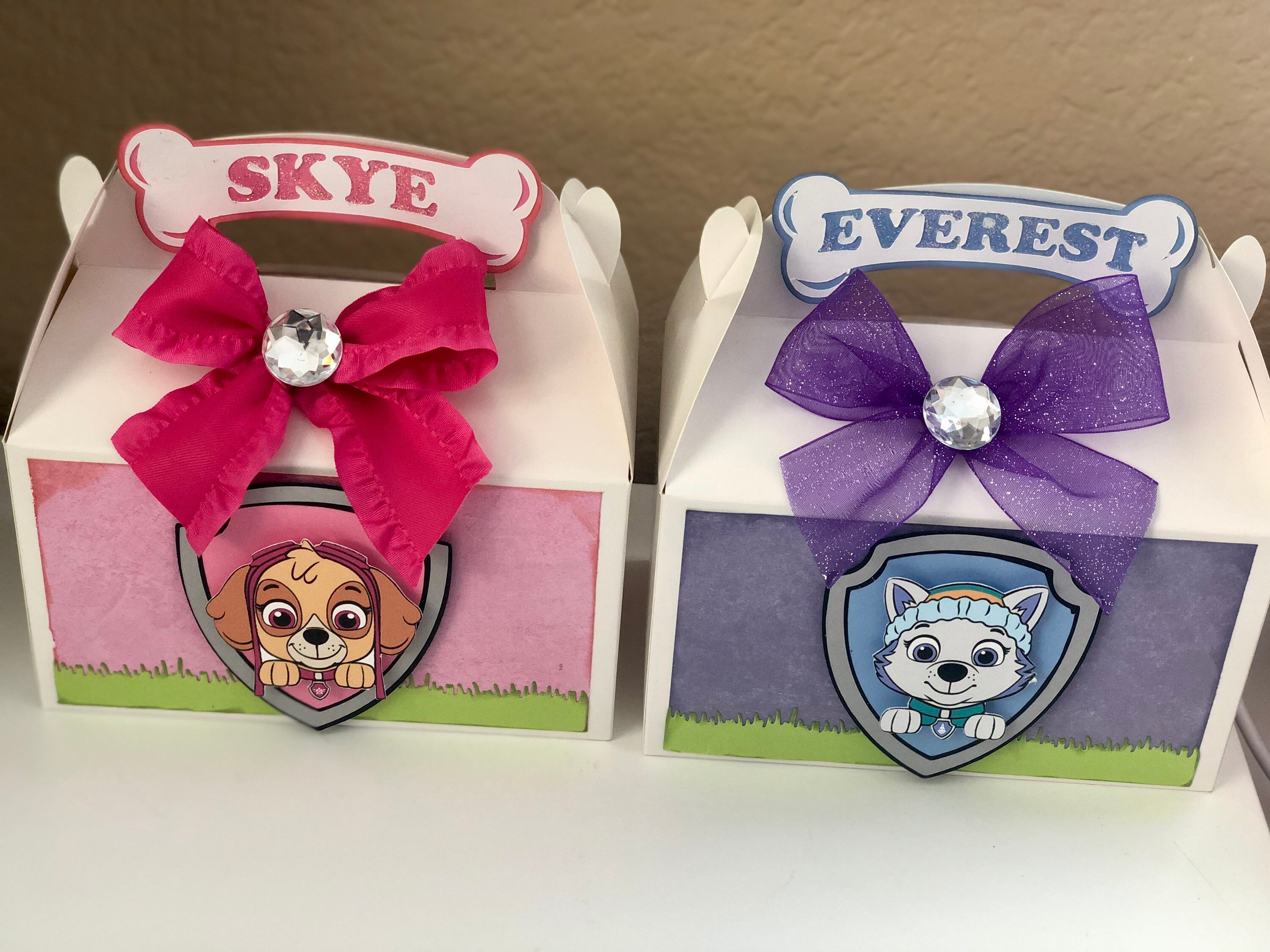 Paw Patrol Treat Box - Etsy