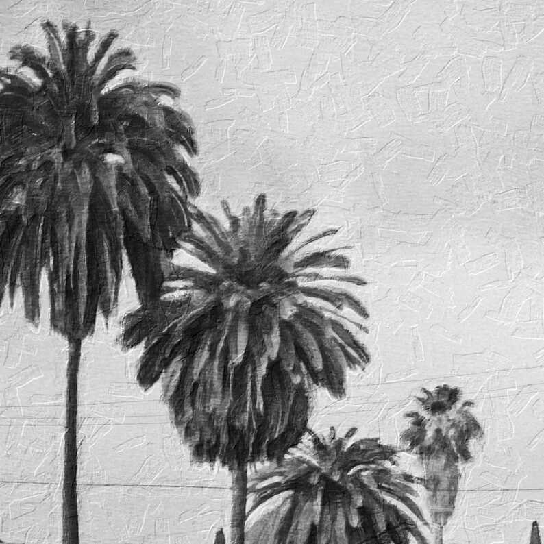 May include: Black and white illustration of three palm trees against a textured white background.