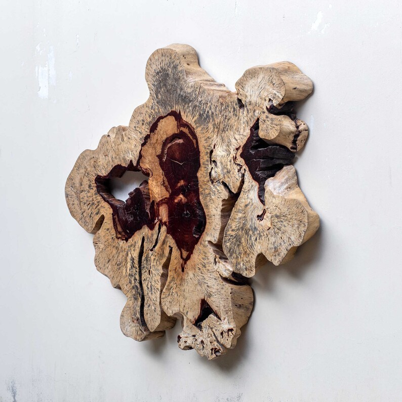 Geller Wood Wall Decor Spalted Tamarind Acacia Root Art Etsy