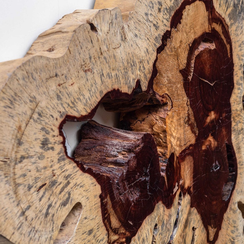 Geller Wood Wall Decor Spalted Tamarind Acacia Root Art Etsy
