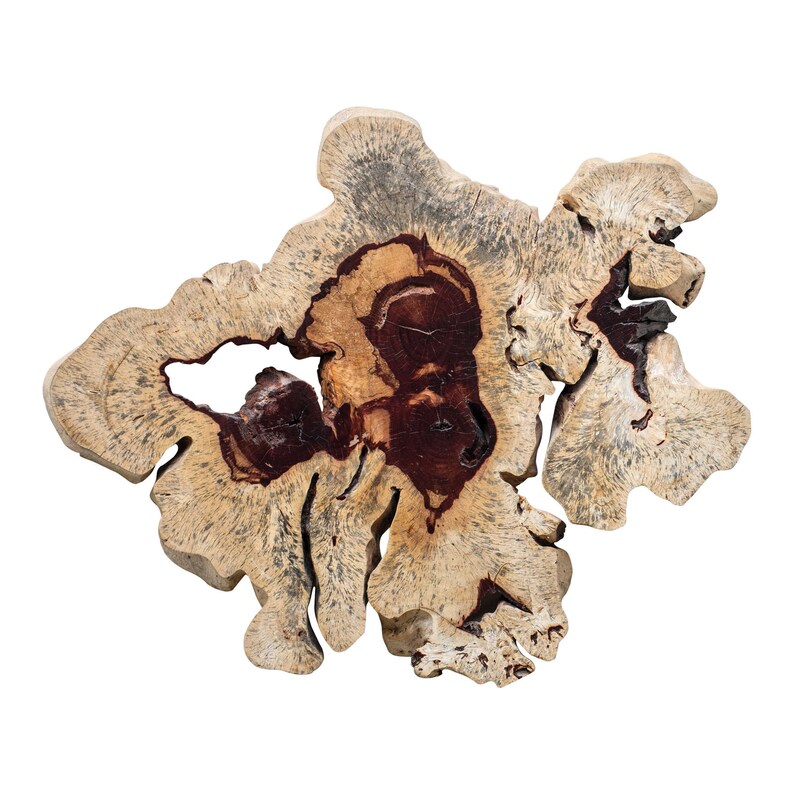 Geller Wood Wall Decor Spalted Tamarind Acacia Root Art Etsy