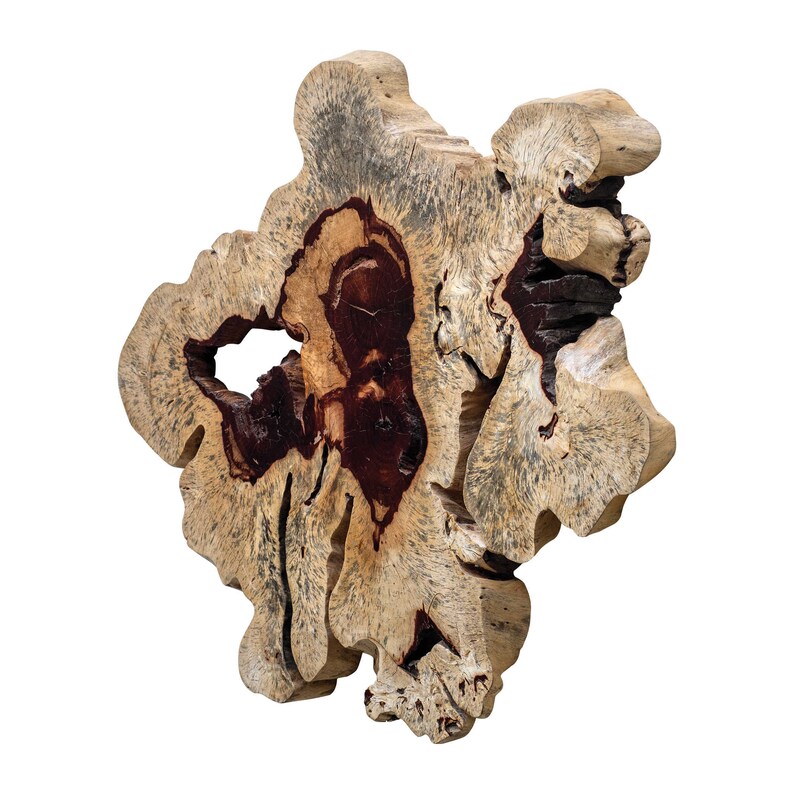 Geller Wood Wall Decor Spalted Tamarind Acacia Root Art Etsy