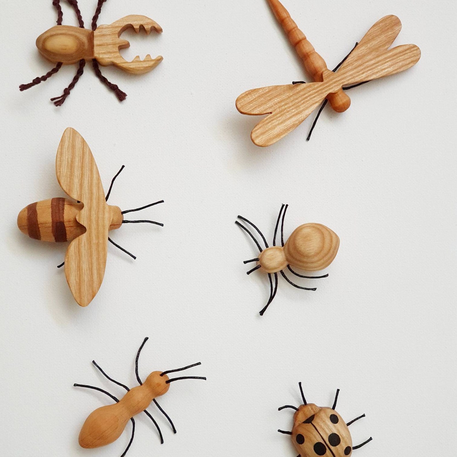 Lista 98+ Foto Insectos De La Madera Fotos Cena Hermosa Lista 98+ Foto Insectos De La Madera Fotos Cena Hermosa