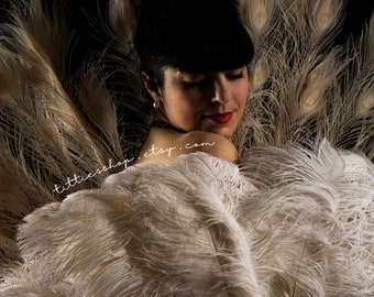 Custom ostrich burlesque feather fans