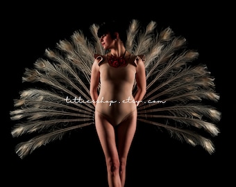 White peacock burlesque feather fans