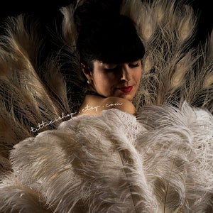 Strauß Burlesque Feder-Fans nach Maß