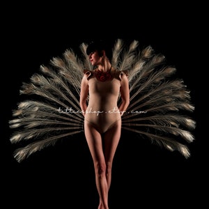 White peacock burlesque feather fans