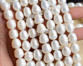 Natural Freshwater White Oval Ringed Pearl for Jewelry Making | 14x12 to 11x11 MM | Pearl jewelry Supplies