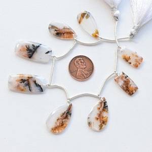 8 Pieces Dendritic Agate Mix Crown Cut Faceted Beads Natural Gemstone | 27x13x3 to 18x10x3 MM | Agate for Jewelry Making