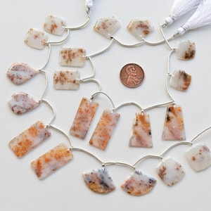 10 Pieces Dendritic Agate Mix Crown Cut Faceted Beads Natural Gemstone Strand | 29x14x2 to 15x15x2 MM | Agate for Jewelry Making