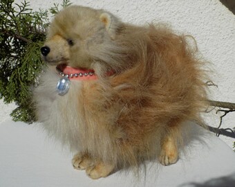 Spitz Nain Etsy