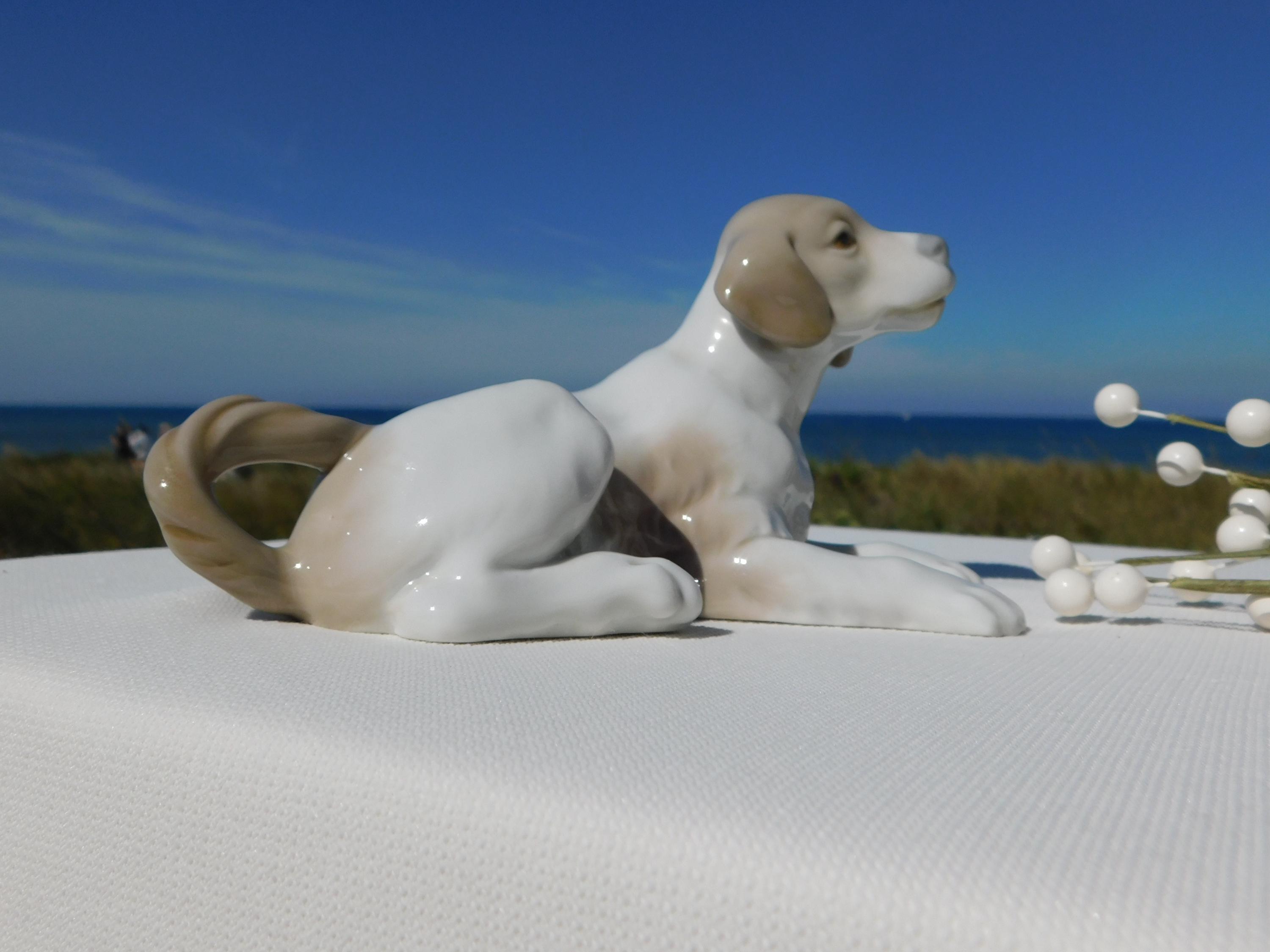 NAO BY LLADRÓ 磁器製犬の置物。廃盤となったNao By Lladróの動物の