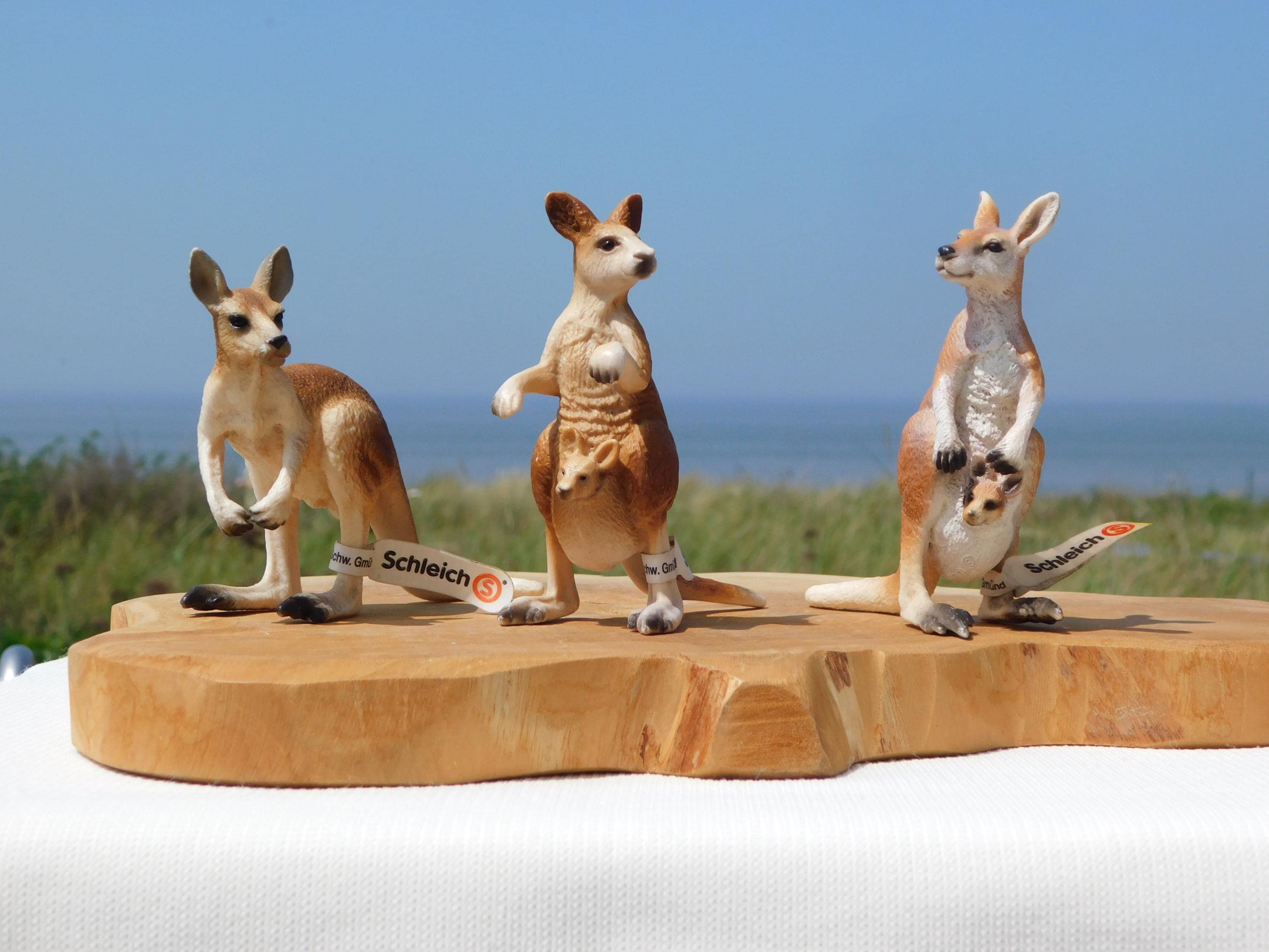 シュライヒ Schleich シャモアとヌーの親子3点セット Amazon.co.jp