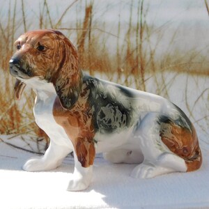 May include: A ceramic figurine of a brown and white basset hound dog. The dog is sitting with its head turned to the side and its ears flopped down. The figurine is painted in realistic detail, with brown, white, and black markings.