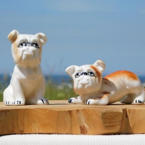 May include: Two porcelain bulldog figurines. One is white with black eyes and a brown nose. The other is white with brown and black markings. Both are sitting on a wooden surface.