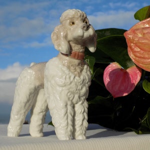 May include: A white porcelain figurine of a poodle with a pink collar. The poodle is standing on a white surface with a pink and green plant in the background.