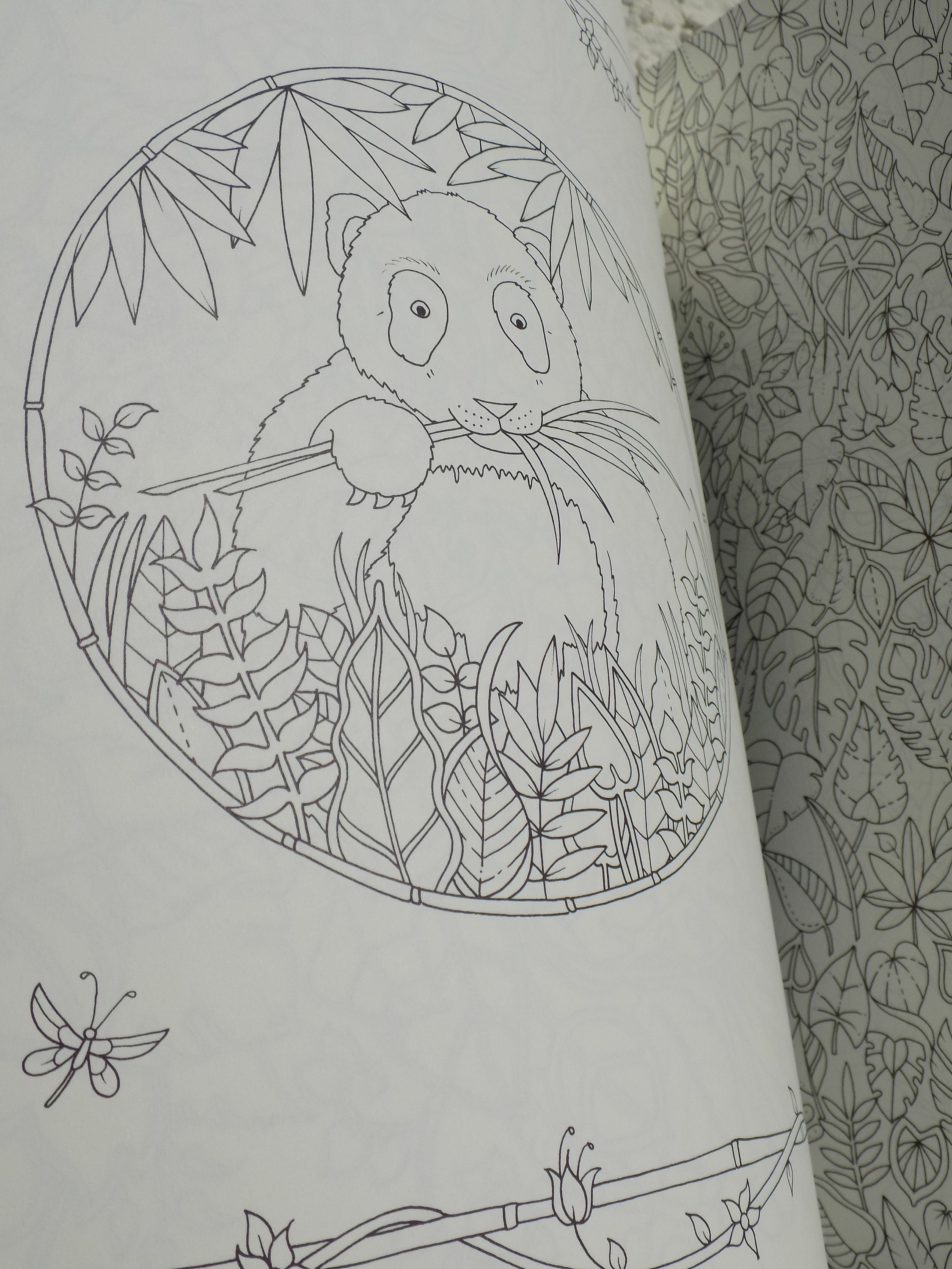 MAGICAL JUNGLE COLORING BOOK. Johanna Basford Magical Jungle - Etsy Ireland