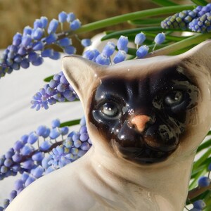 May include: A ceramic figurine of a Siamese cat with brown and black markings. The cat is sitting with its head tilted slightly to the side. The figurine is surrounded by blue flowers.