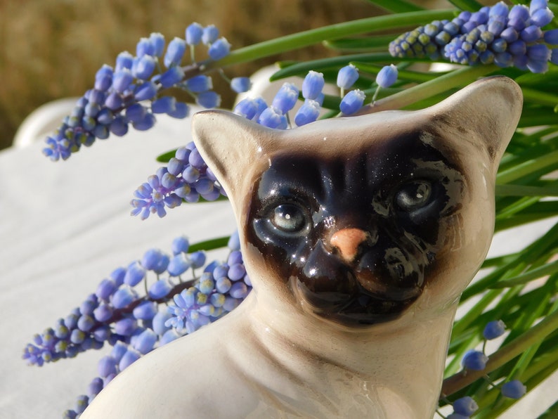 May include: A ceramic figurine of a Siamese cat with brown and black markings. The cat is sitting with its head tilted slightly to the side. The figurine is surrounded by blue flowers.