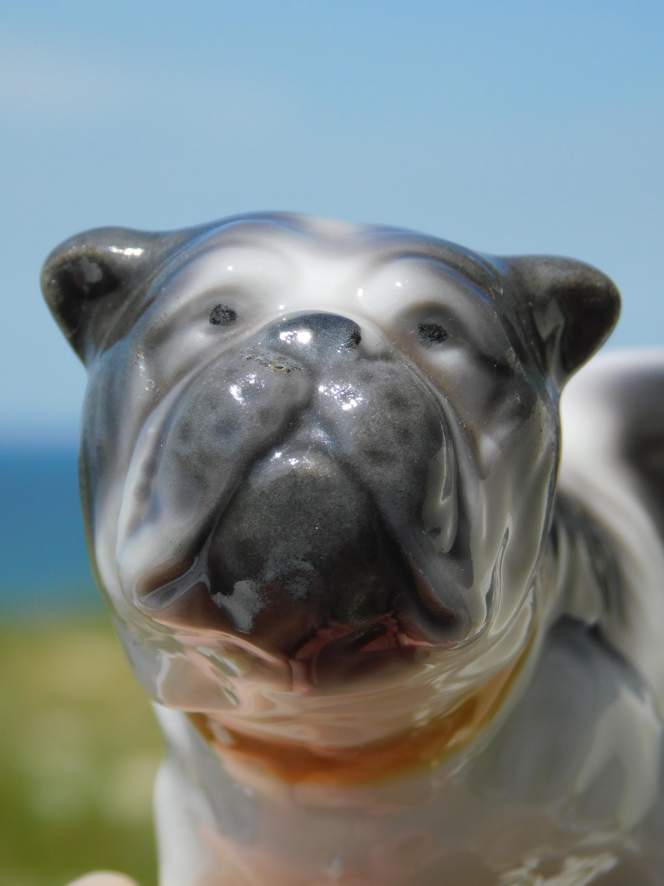 VINTAGE CERAMIC Bulldog.7cm British Bulldog Figurine