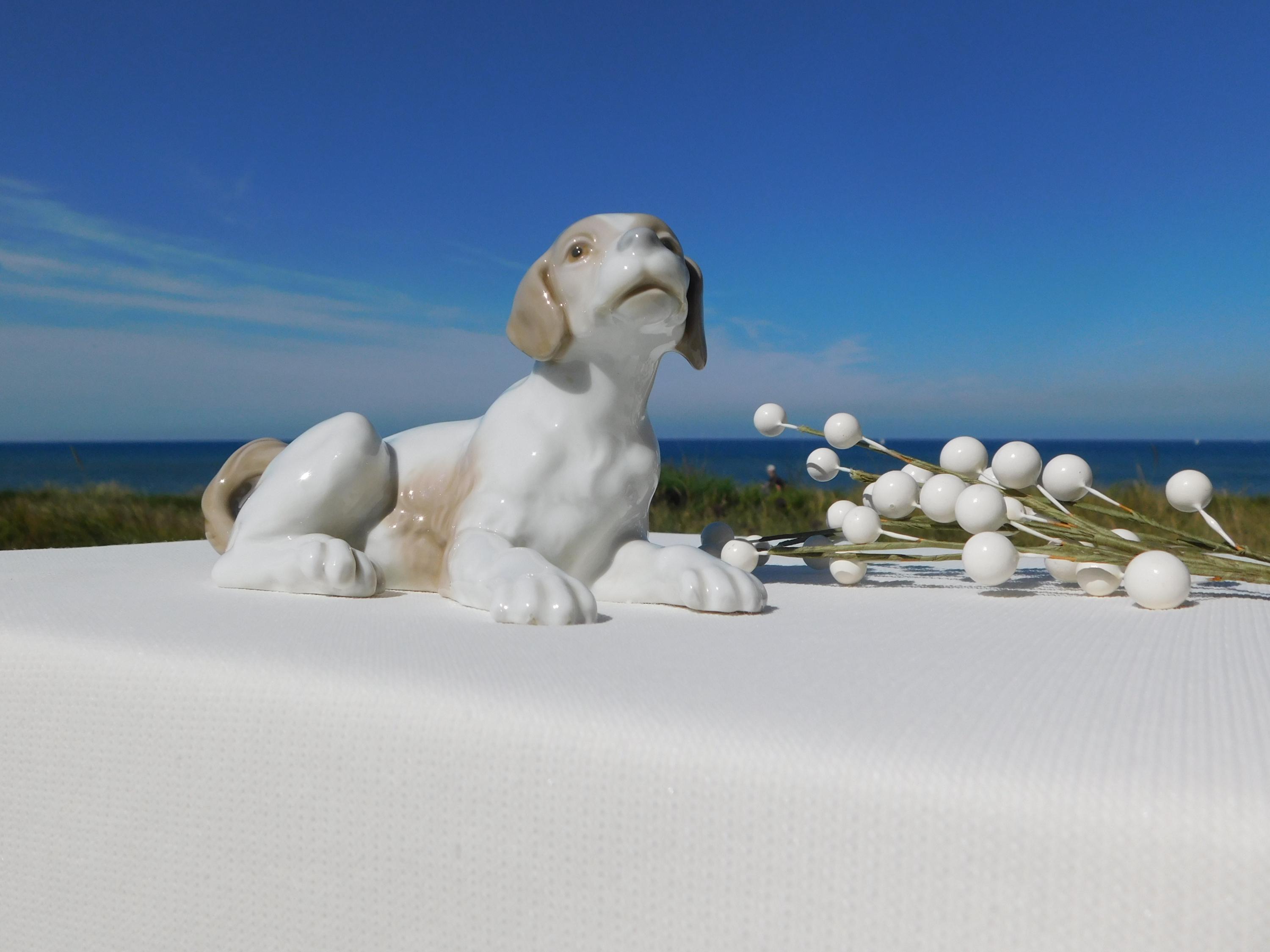 犬の陶器の置物 NAO Spain Handcrafted porcelain NAO BY LLADRÓ Porcelain Dog Figurine.retired Nao by Lladró Animal