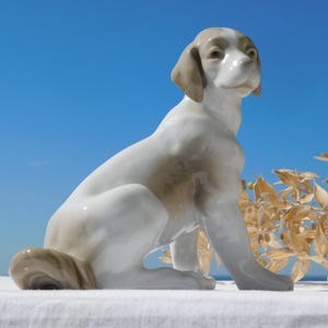 Op de afbeelding: Een glanzend porseleinen beeldje van een zittende hond met een gladde witte vacht en lichtbruine vlekken op de oren en de rug. De hond is afgebeeld in een zittende houding met het hoofd lichtjes naar de zijkant gedraaid.