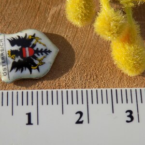 K&ouml;nnte beinhalten: Ein kleiner, schildf&ouml;rmiger Anh&auml;nger mit dem &ouml;sterreichischen Wappen. Der Anh&auml;nger zeigt einen schwarzen Adler mit einem rot-wei&szlig;em Schild auf wei&szlig;em Grund, mit dem Wort "&Ouml;STERREICH" in Schwarz. Ein Lineal befindet sich im Vordergrund.